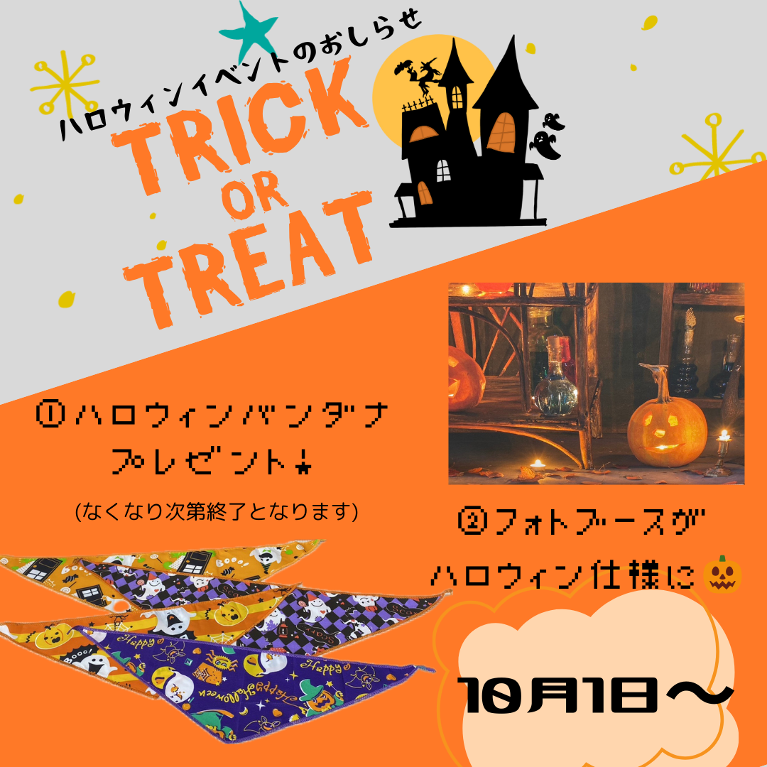 ハロウィンイベント開催🎃