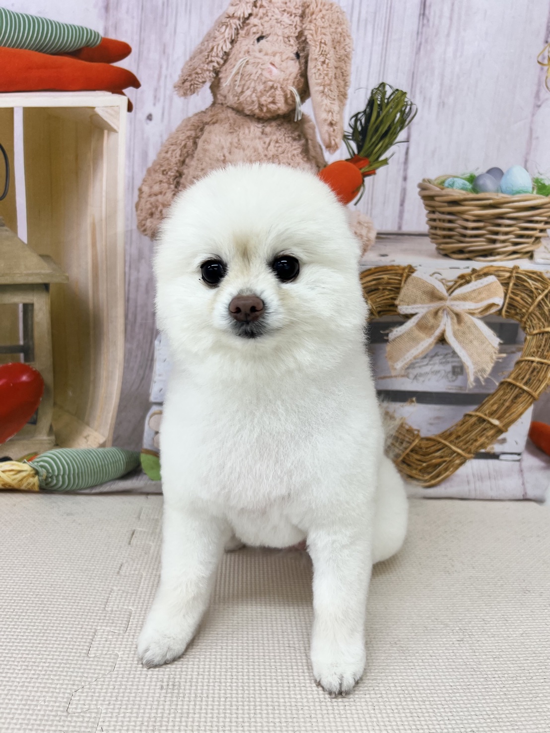 はなさん