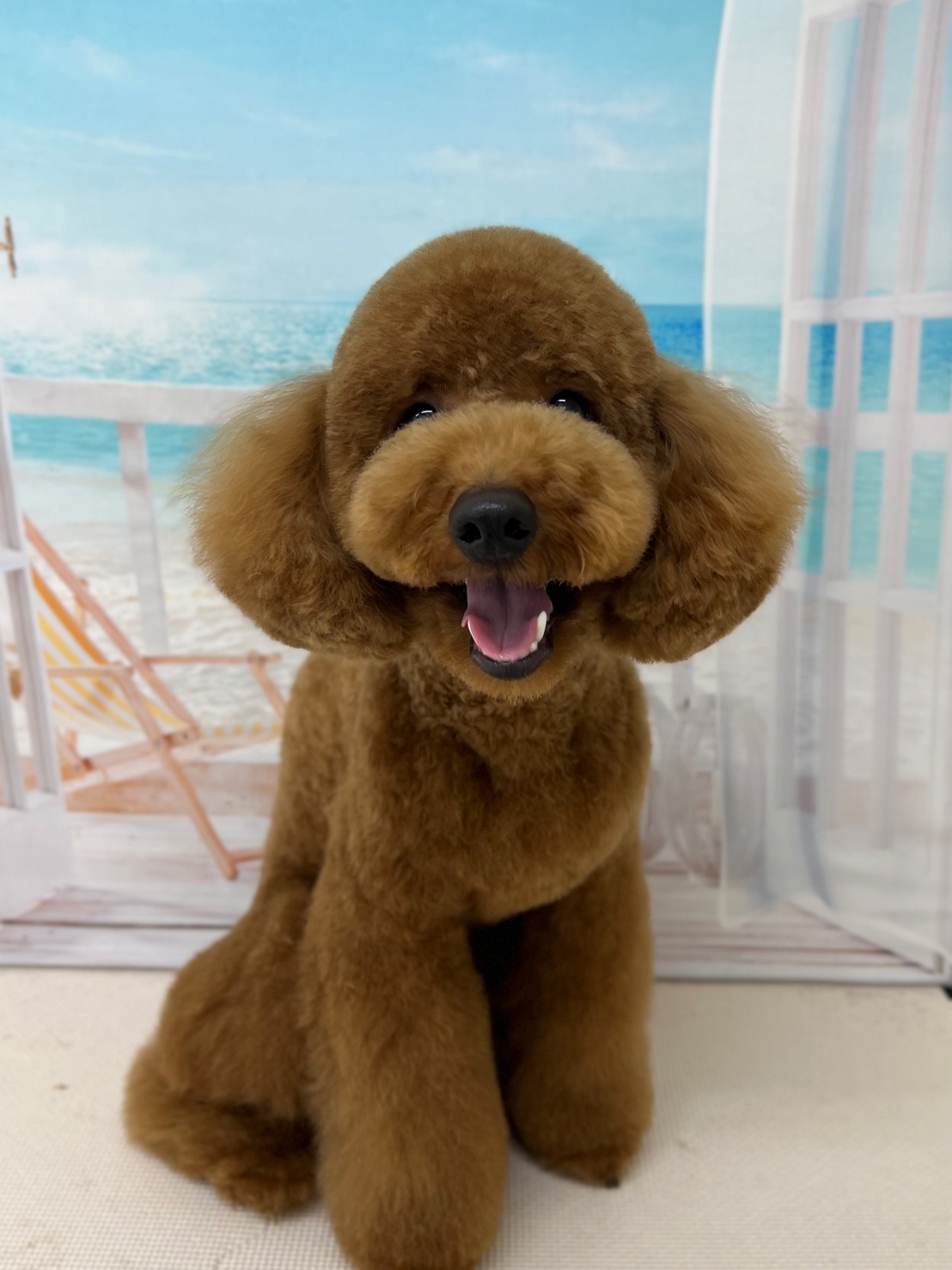 ちゃっぴーさん