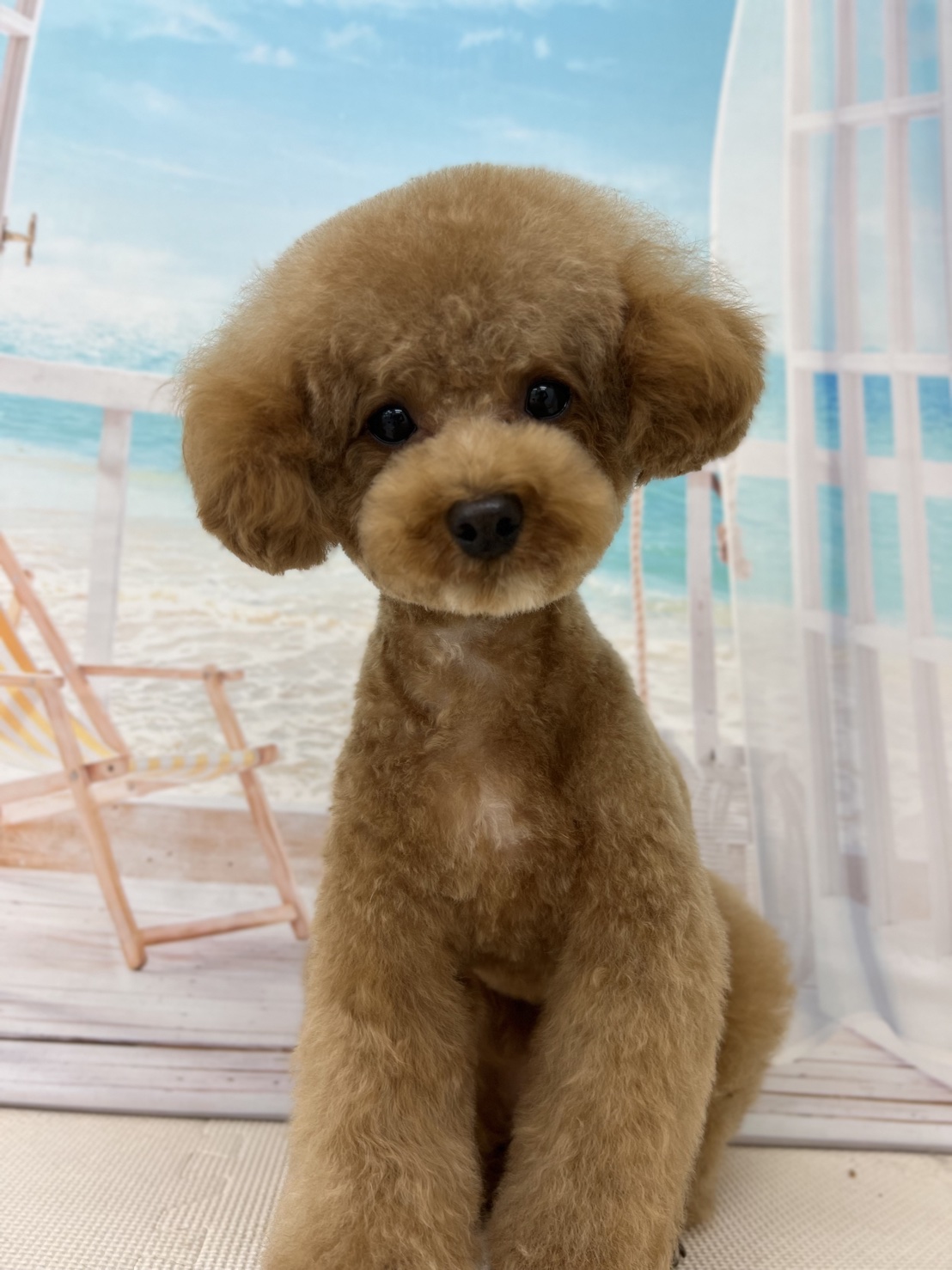 GUCCIさん