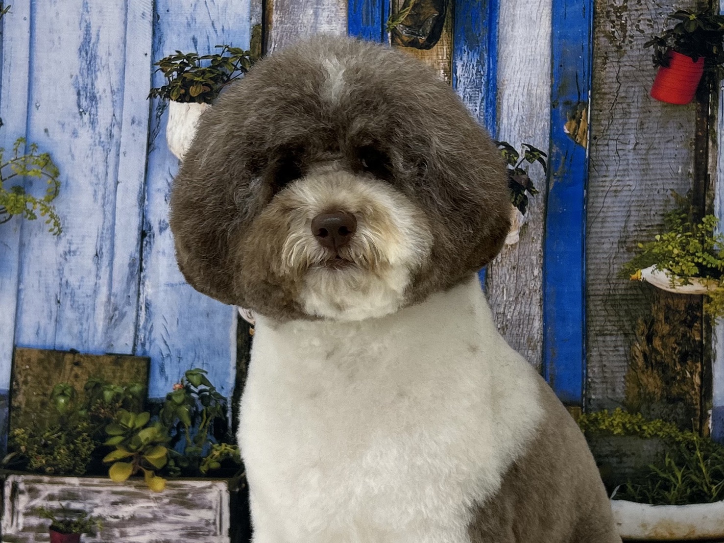 シャーロットさん