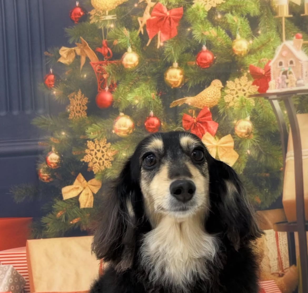 ちゅんちゅんさん